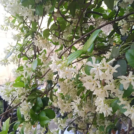 Well - Museo Guest house *